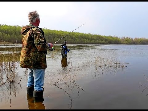 Видео: ХИТРАЯ ПРОВОДКА НА СУДАКА. СУДАК дуреет от этой проводки. Как поймать пассивного СУДАКА