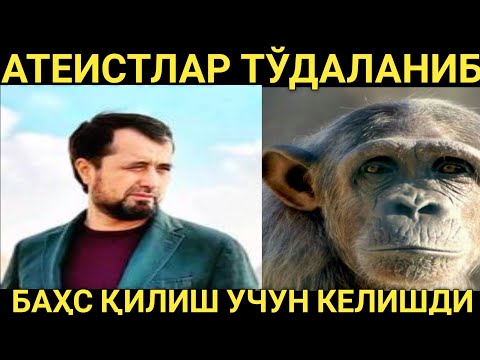 Видео: #бахс АТЕИСТЛАР ТЎДАСИ КЕЛИШДИ...  АБРОР МУХТОР АЛИЙ