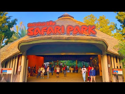 Видео: Сафари-Парк в Сан-Диего: Незабываемое путешествие и погружение в мир дикой природы