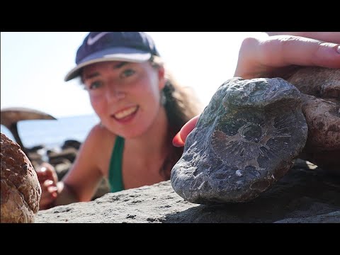 Видео: Как найти окаменелости на Юрском побережье! Пятница окаменелостей