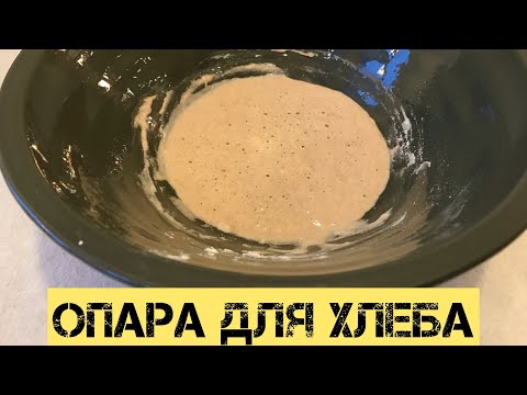 Видео: Правильно готовим опару для хлеба 🥰