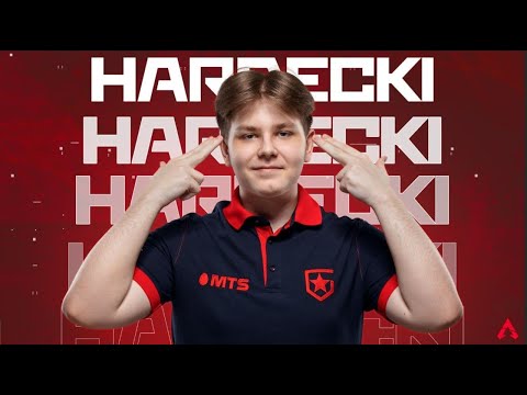 Видео: ЧЕМПИОНЫ ALGS PRO LEAGUE | Gambit Hardecki