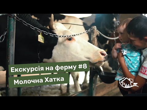 Видео: Екскурсія на ферму. #8 ферма «Молочна Хатка»