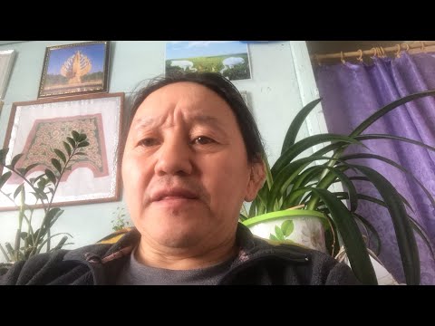 Видео: Муус устар 5 күнэ, медитация