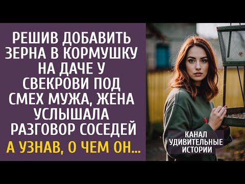 Видео: Решив добавить зерна в кормушку на даче у свекрови, услышала разговор соседей… А узнав, о чем он…