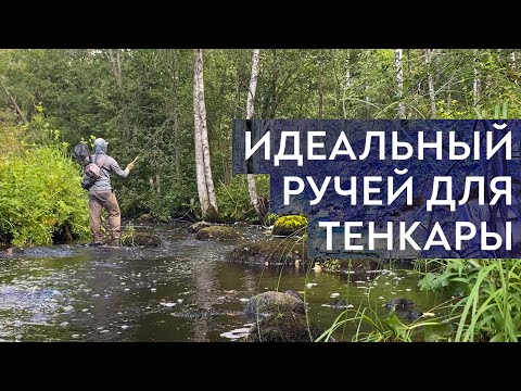 Видео: Вот как нужно ловить ФОРЕЛЬ на ТЕНКАРУ. Идеальный ручей!