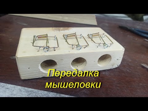 Видео: Переделка мышеловки