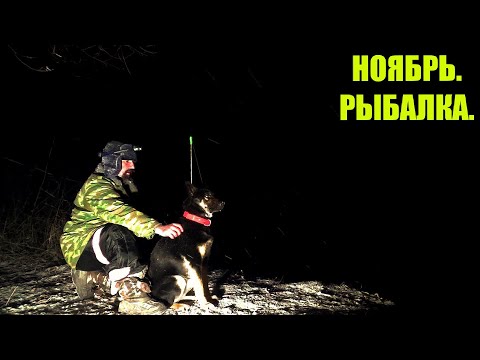 Видео: Рыбалка. Судак, Щука на Живца. Двое Суток на Реке Поздней Осенью.