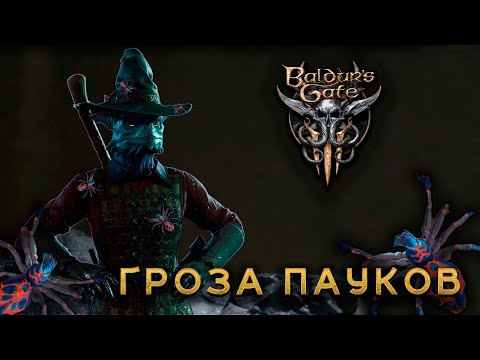 Видео: Baldur's Gate 3 #6 Гроза пауков