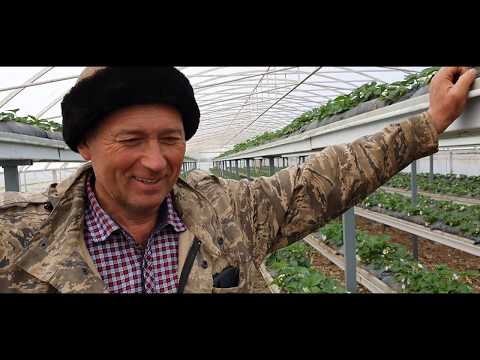 Видео: Малообъёмка по белореченски. Закладка фриго.