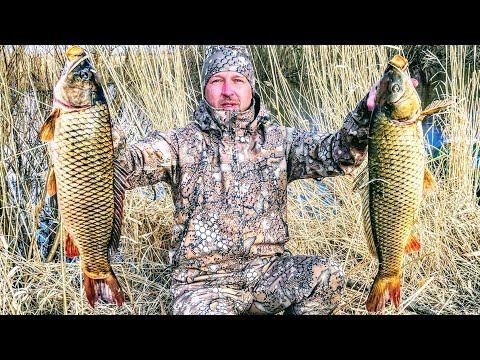 Видео: НАЧАЛОСЬ! Тонны рыбы в реке или 100кг за 20 минут! Рыбалка на паук - подъемник с лодки Рыбалка 2022