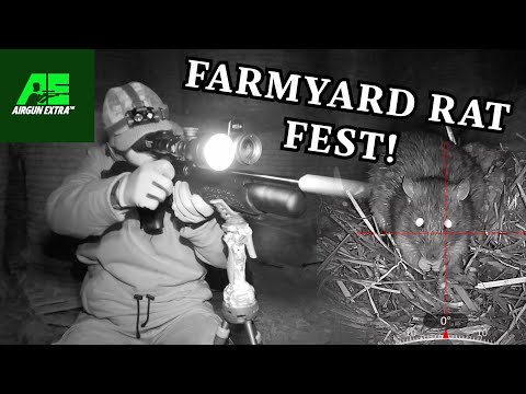 Видео: Airgun Extra | Эпическая стрельба по фермерским крысам | Обзор Daystate Alpha Wolf Smart