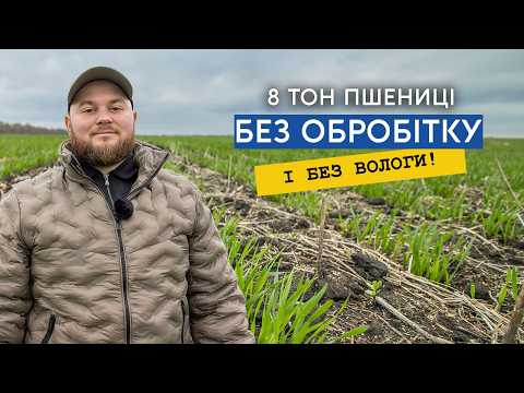Видео: Як зберегти вологу та отримати живий грунт? Секрети вирощування озимих культур в Технополь Агро