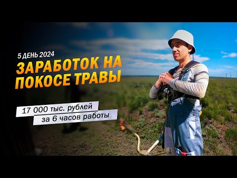 Видео: 5 | 17 000 тыс. рублей за 6 часов работы. Заработок в деревне на покосе травы триммером.