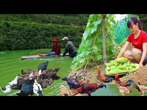 Видео: Полное видео 60 дней строим новую жизнь | уборка урожая дынь, бобов и дров вахтовым методом |