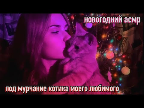 Видео: 🎄 асмр новогодние триггеры под мурчание котика :)