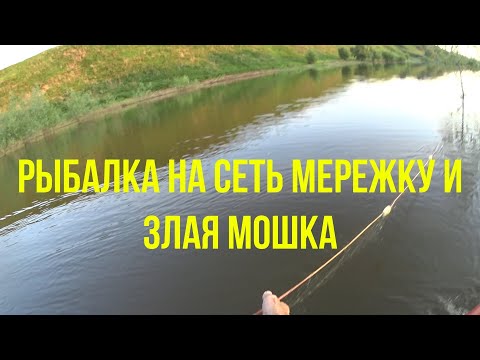 Видео: Рыбалка на сеть мережку и злая мошка