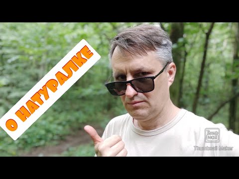 Видео: О натуральном питании кошки | Микс вопросов