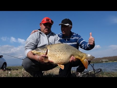 Видео: Хоби Тв - Трофейни Шарани на Борец - www.digitalstudio.bg