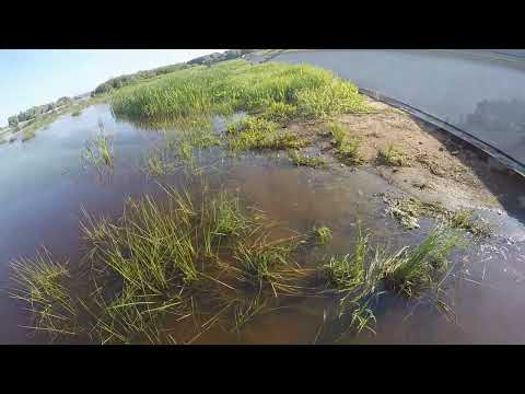 Видео: Великий Новгород ч 1