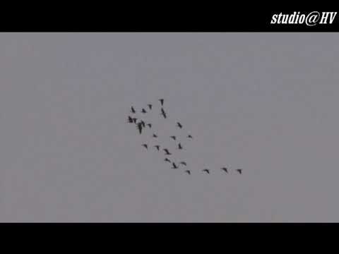 Видео: п Усть Куйга  САХА ЯКУТИЯ