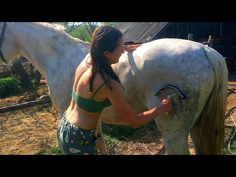 Видео: ЖИЗНЬ ПРОСТЫХ ЛЮДЕЙ В ДЕРЕВНЕ