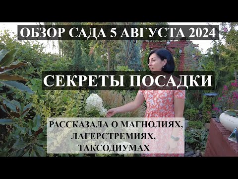 Видео: ОБЗОР САДА Расказала о магнолиях,лагерстремиях,таксодиумах,кедрах и др.! НОВИНКИ / СЕКРЕТЫ ПОСАДКИ