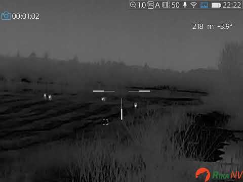 Видео: Завершаю сезон ещё двумя волками (28-ой и 29-ый).