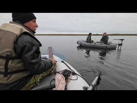 Видео: Большая такая компания на рыбалке. Дусай-Кичу - Сазгоры-Дусай-Кичу.