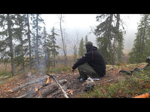 Видео: Поймал озёрного монстра 2. Жуткая ночь. 3 дня в дикой тайге.