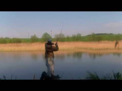 Видео: Ловля окуня на дроп шот в условиях заросших водоемов