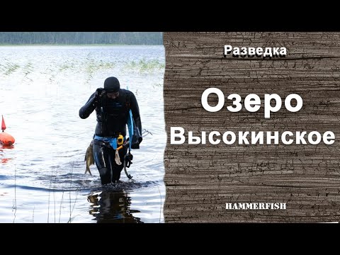 Видео: Озеро Высокинское. Подводная охота в Ленинградской области. Гидрокостюмы HAMMERFISH
