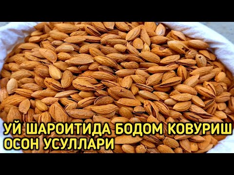 Видео: УЙ ШАРОИТИДА БОДОМ КОВУРИШ - UYDA OSON TEZ BODOM QOVURISH