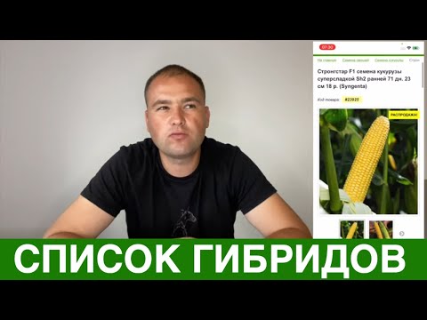 Видео: Какие гибриды рекомендует АгроДвиж до 10 июля посеять