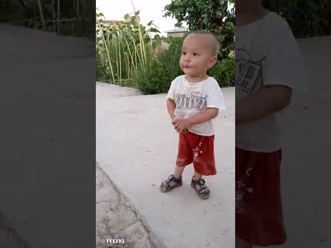 Видео: 23 октября 2025 г.