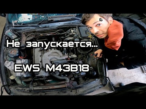 Видео: Оживляем необычную е34. EWS M43.