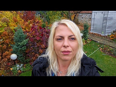 Видео: Как се съхранява ябълков оцет, как се зазимяват хортензии, качество или количество при видеата?