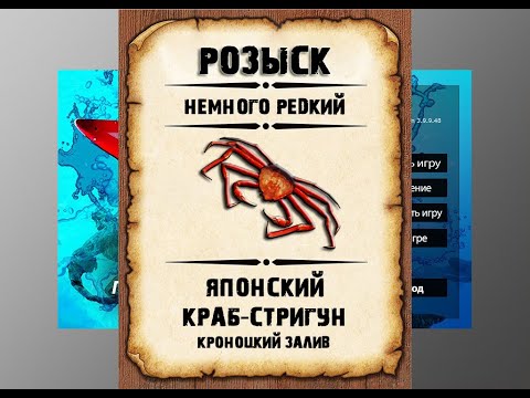 Видео: Редкости рр3. Японский краб-стригун рр3.  Кроноцкий залив.