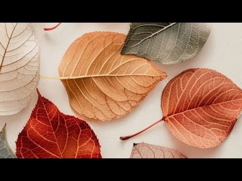 Видео: 5 часть. Что сейчас происходит в моем пространстве? 💫 Какие энергии ✨?