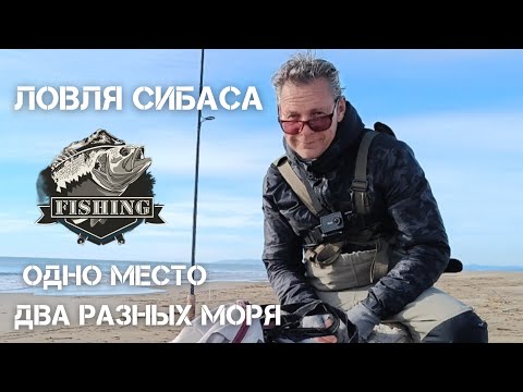 Видео: Ловля сибаса  осенью на уникальной косе в Дельта Эбро. Между двумя морями.