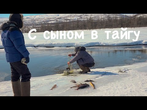 Видео: С сыном в тайгу. Плато Путорана 1 ч. / Wilderness Survival  /  Bushcraft in Siberia /