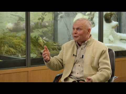 Видео: О главном. Сезон 2024. Выпуск №10