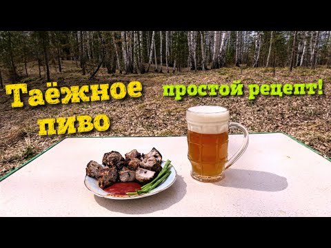 Видео: Пиво таежное простой рецепт