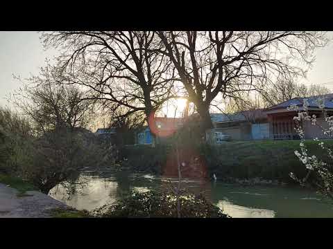 Видео: Чирчик 2022. Троицкий ул. Четина