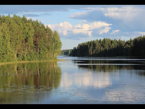 Видео: "Между двумя мегаполисами"