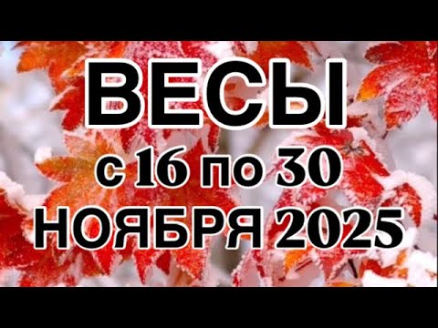 Видео: ВЕСЫ  - 16  ПО 30  НОЯБРЯ  2025 | ВАЖНО! | НЕ ВАЖНО! | РЕЗУЛЬТАТ | ПРОГНОЗ ОТ NATALLIA  MARKOWSKA