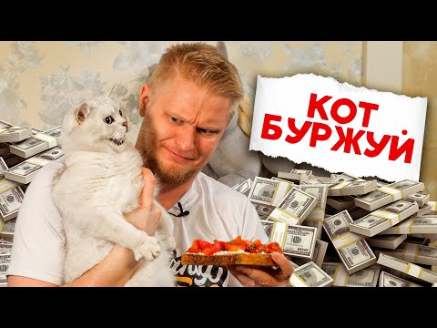 Видео: СЫРЫЕ КРЕВЕТКИ ЗА 700 РУБЛЕЙ! BEEF ZAVOD. СЛАВНЫЙ ОБЗОР.