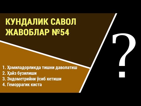 Видео: Кундалик саволларга жавоблар №54