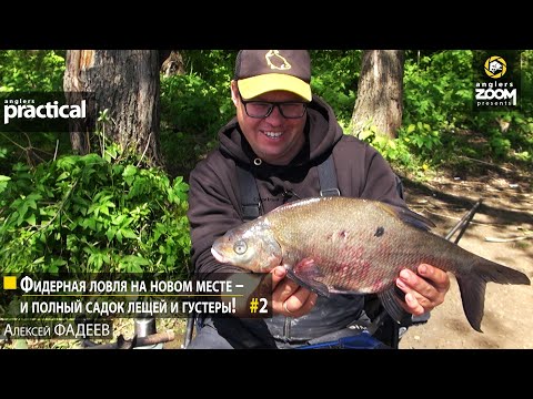 Видео: Фидерная ловля на новом месте – и полный садок лещей и густеры! А. Фадеев. Часть 2.Anglers Practical