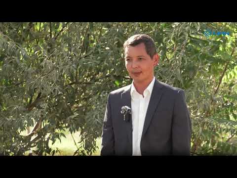 Видео: "ТАЗА ҚАЗАҚСТАН": ҰЗЫН - АТА АУЫЛЫ